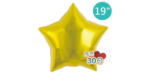 Ibrex Star 19" 星形 Metallic Gold (Non-Pkgd.), TKF19SP311201 _210  