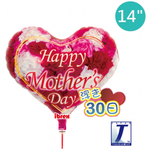 Ibrex Jelly Heart 14" 果凍心形 Mother's Day Carnation R&W (Non-Pkgd.), TKF14JHI313412